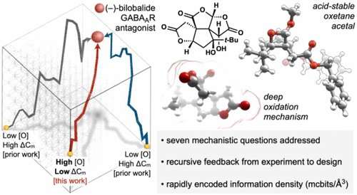 Chemists develop framework to enable efficient synthesis of 'information-dense' molecules
