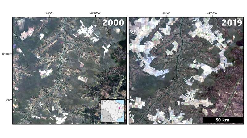 Deforestation and land-clearing are taking a toll on Brazil's corn yield