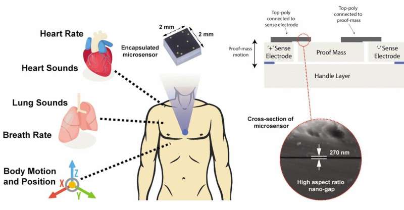 Lung-heart super sensor on a chip tinier than a ladybug