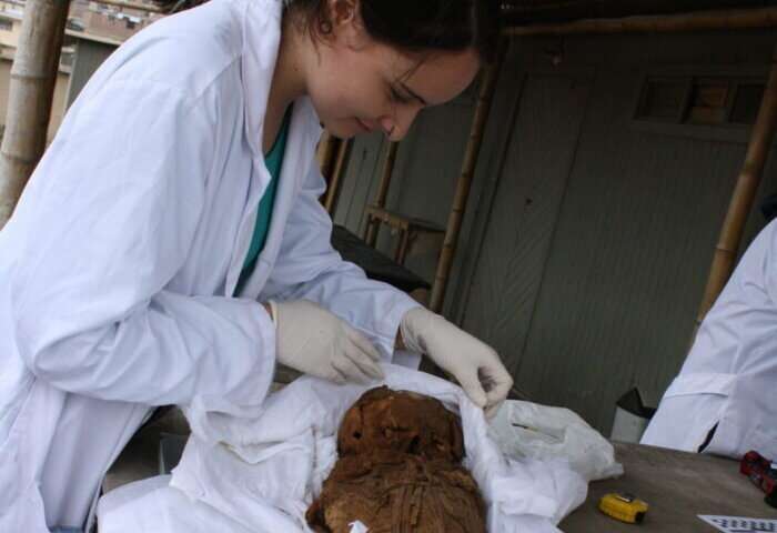 Mosaic X-rays reveal Peruvian mummy mysteries