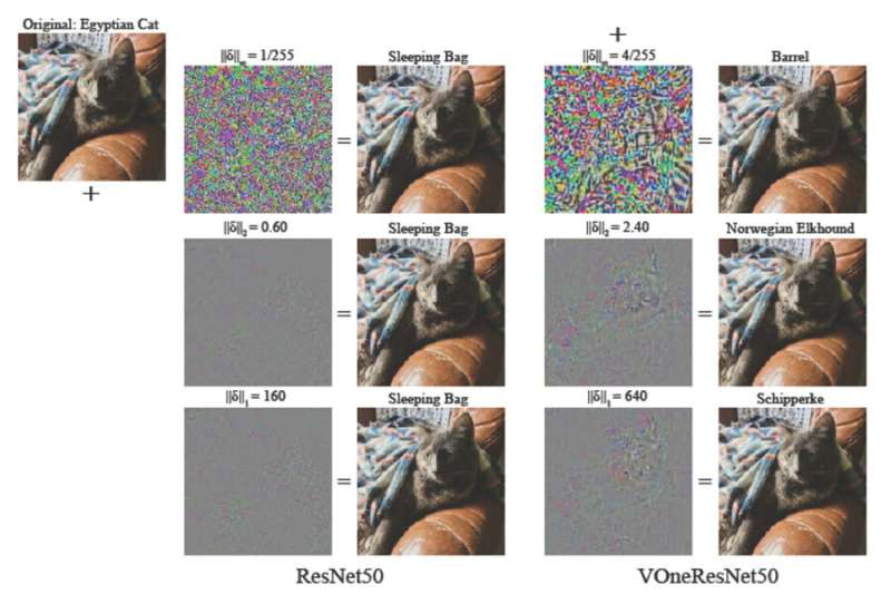 Neuroscientists find a way to make object-recognition models perform better