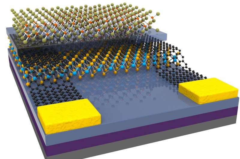 Programmable electronics based on the reversible doping of 2D semiconductors