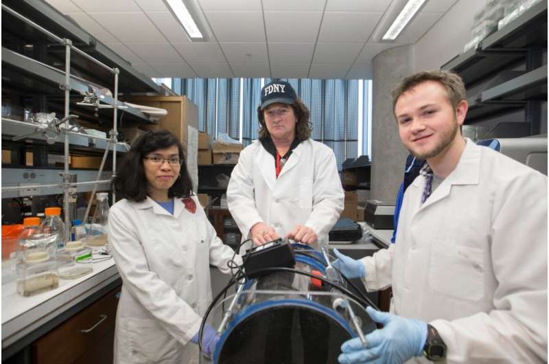Research team tackles superbug infections with novel therapy