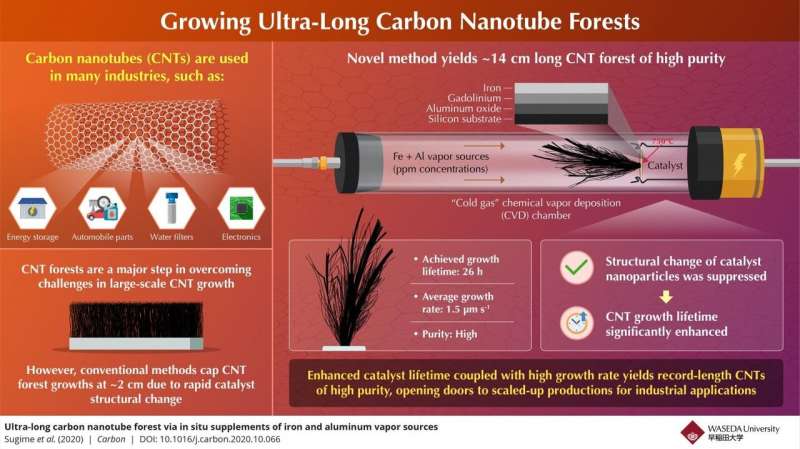 Scientists grow carbon nanotube forest much longer than any other