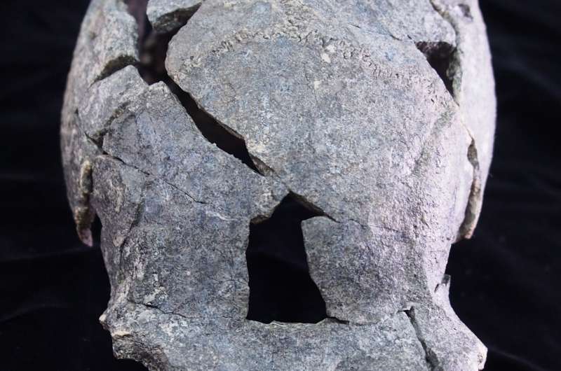 Smallest Homo erectus cranium in Africa and diverse stone tools found at Gona, Ethiopia