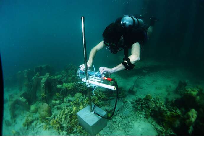 Using Artificial Intelligence to Save Coral Reefs