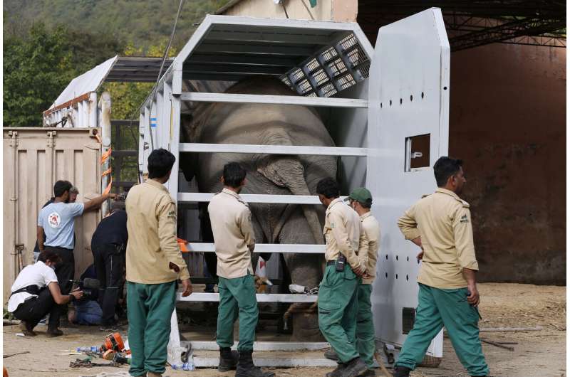 'World’s loneliest elephant' arrives safely in Cambodia
