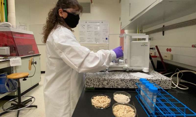 Researchers advance efforts to accurately measure glyphosate pesticide in oats