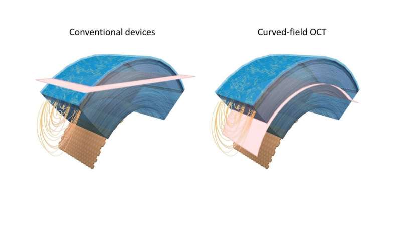 Researchers capture cell-level details of curved cornea