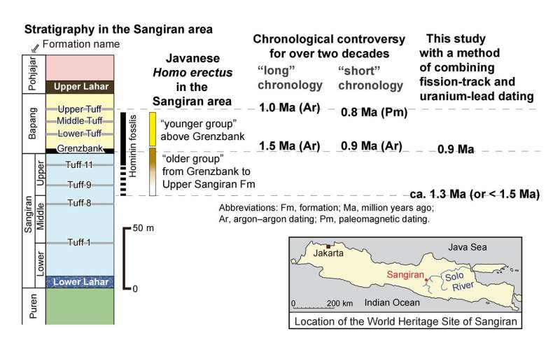 Dating of volcanic ash at Sangiran shows Homo erectus arrived later than thought