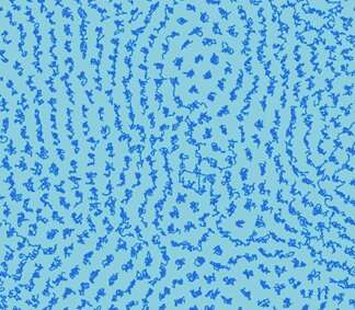 Physicists prove that 2-D and 3-D liquids are fundamentally different