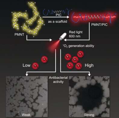 Biomimetic hydrogel with photodynamic antimicrobial effect