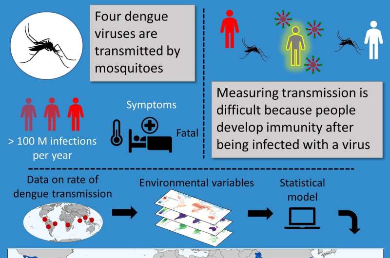 Releasing artificially-infected mosquitoes could reduce global dengue cases by 90%