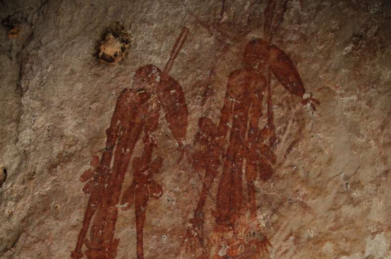Wasp nests used to date ancient Kimberley rock art