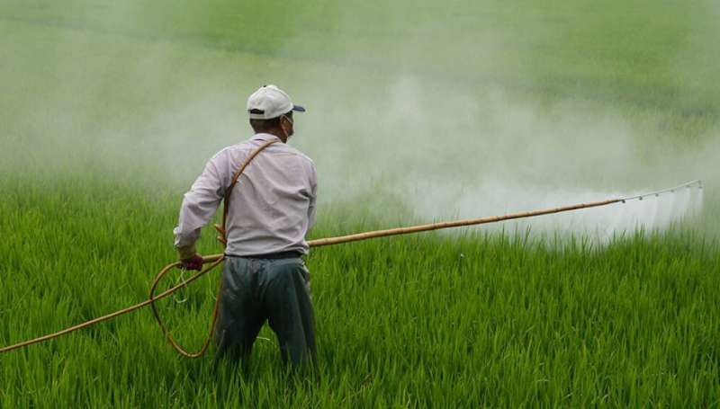 Poisoning cases mar India’s bid to be a global pesticides hub