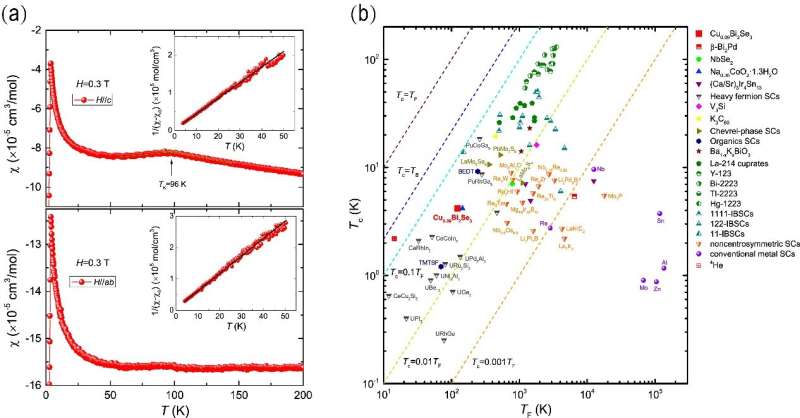 CuxBi2Se3: new evidence on unconventional superconductivity