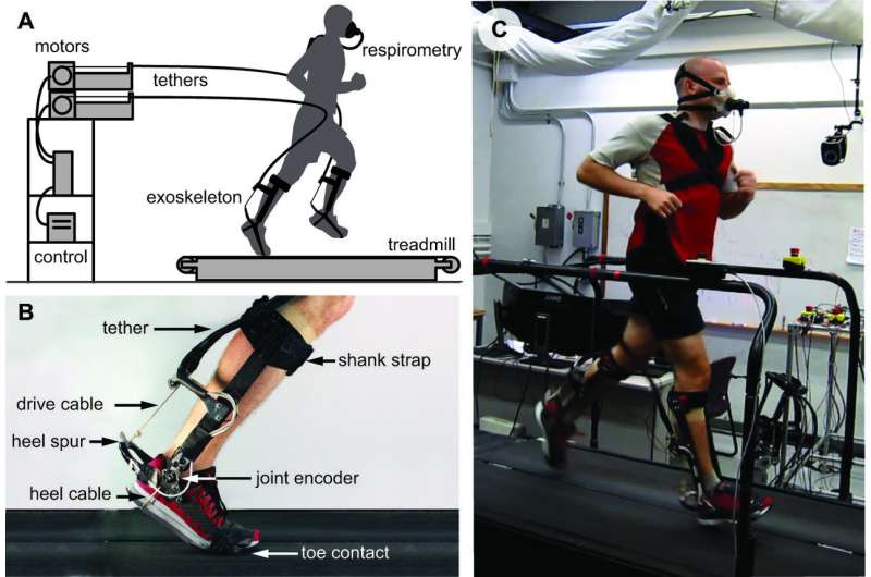 Engineers find ankle exoskeleton aids running