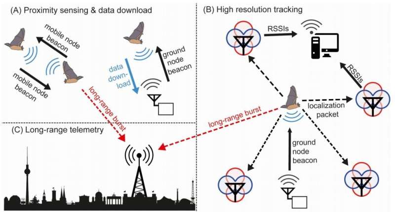 A next-generation sensor network for tracking small animals