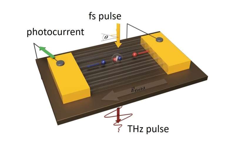 Terahertz science discloses the ultrafast photocarrier dynamics in carbon nanotubes