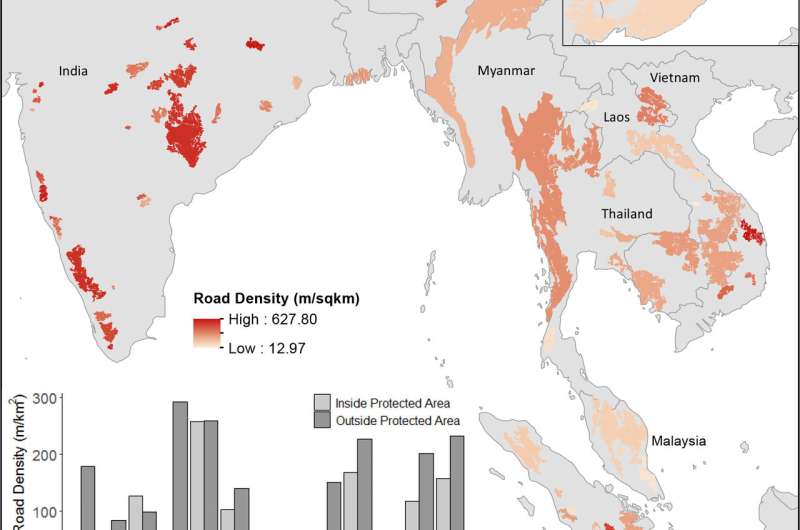 Thousands of miles of planned Asian roads threaten the heart of tiger habitat