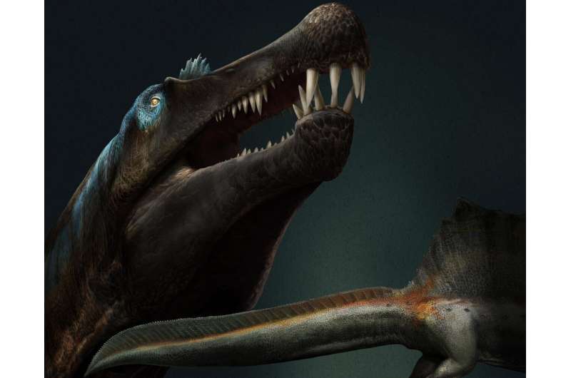 New fossils rewrite the story of dinosaurs and change the appearance of Spinosaurus
