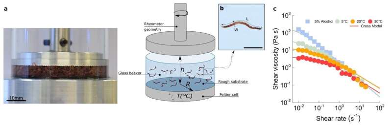 Using sludge worms as a model for active filaments in viscosity tests