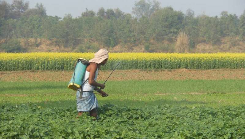 India weeds out 27 highly toxic pesticides