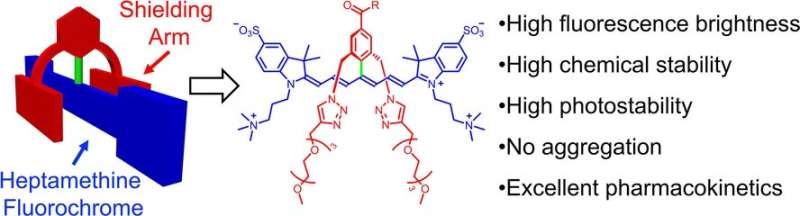 Stable and functional dyes for near-infrared fluorescence imaging of living subjects