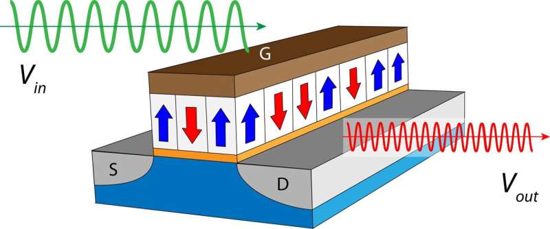 A reconfigurable ferroelectric field-effect transistor for frequency multiplication