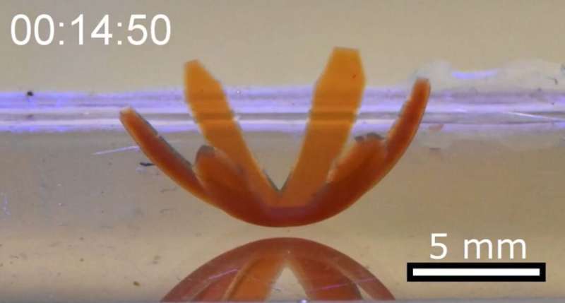'Robotic soft matter' bends, rotates and crawls when hit with light