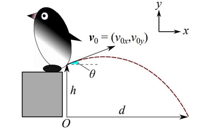 Calculating the true pressure required to propel penguin feces