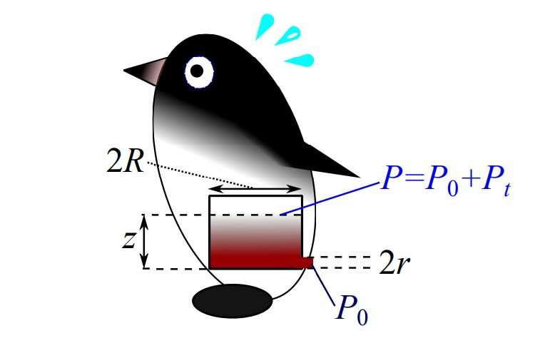 Calculating the true pressure required to propel penguin feces