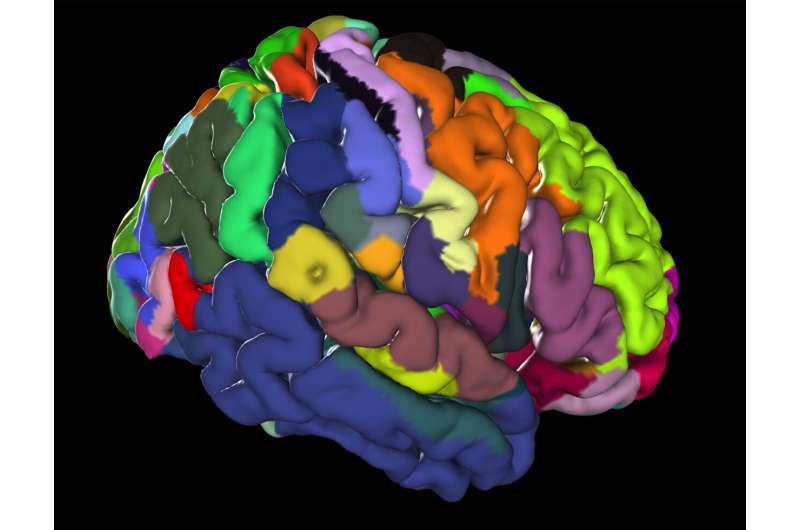 A centerpiece of EBRAINS' human brain atlas is presented in 'Science'
