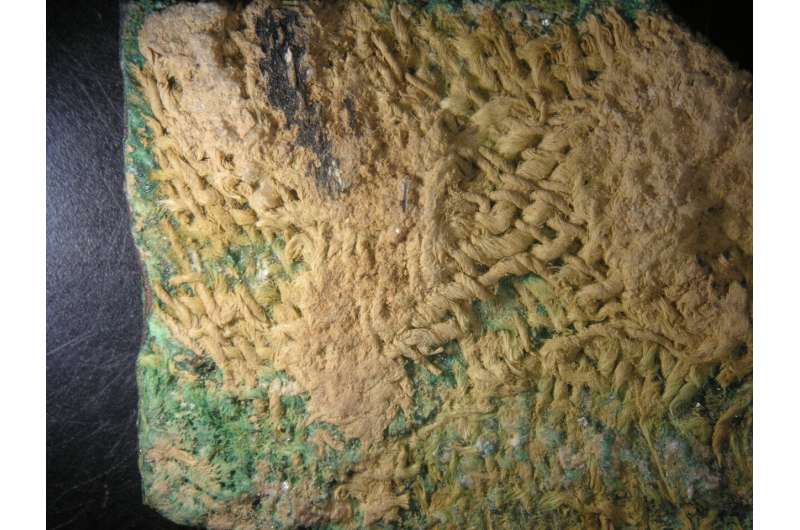 How textiles undergo fossilization via mineralization
