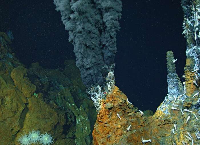 Discovery transforms understanding of hydrogen depletion at the seafloor