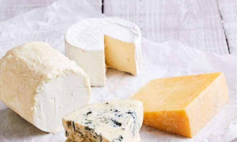 Cheese – new insights into an age-old food