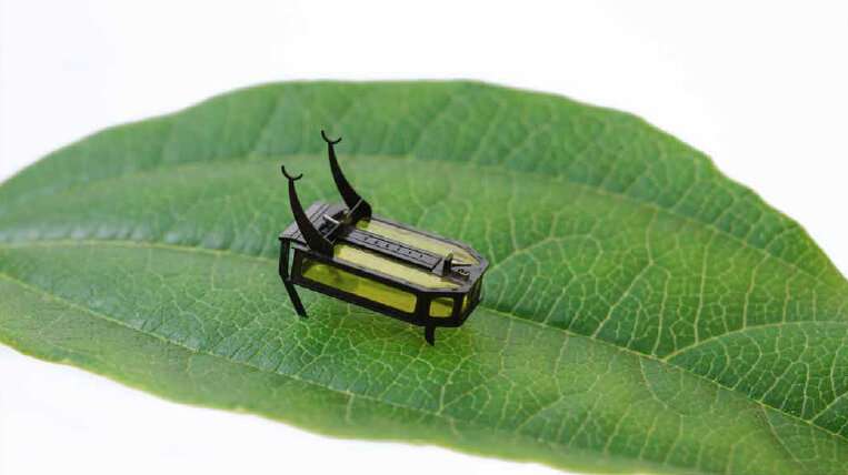 Beyond batteries: Scientists build methanol-powered beetle bot