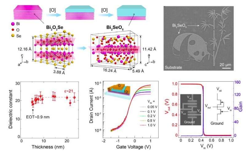 Bi2SeO5: A new native oxide high-k gate dielectric for fabricating 2-D electronics