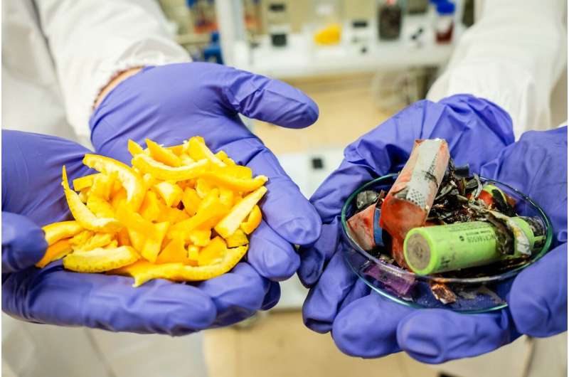 Scientists use fruit peel to turn old batteries into new