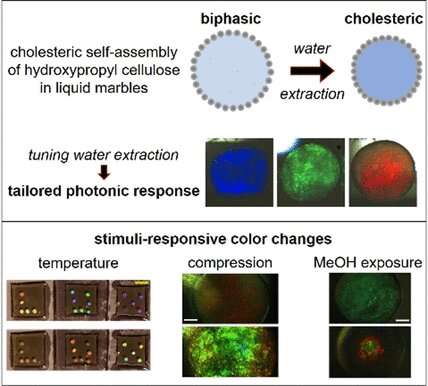 Self-assembly of responsive photonic biobased materials in liquid marbles