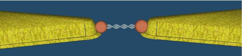 Harnessing DNA molecules for disease detection and electronics