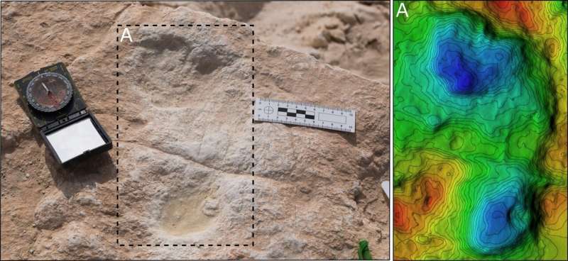 Ancient footprints in Saudi Arabia show how humans left Africa