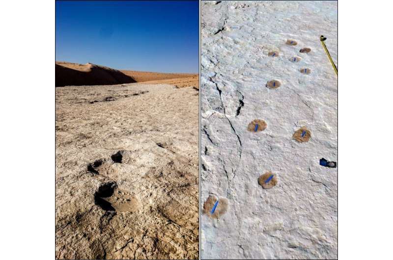 Ancient footprints in Saudi Arabia show how humans left Africa