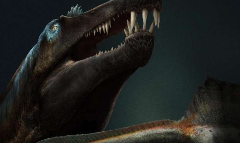 Dino teeth research prove giant predatory dinosaur lived in water