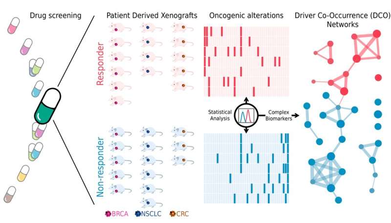 The co-occurrence of cancer driver genes, key to precision medicine