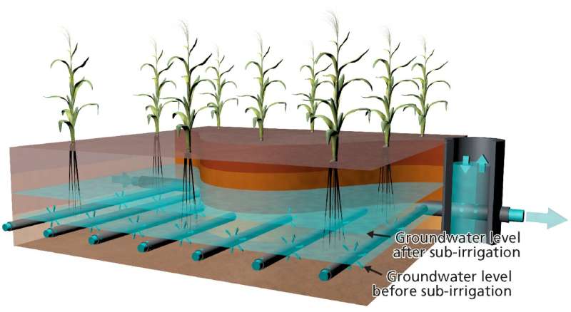 Solution to water shortages: Reuse of sewage for groundwater fed irrigation