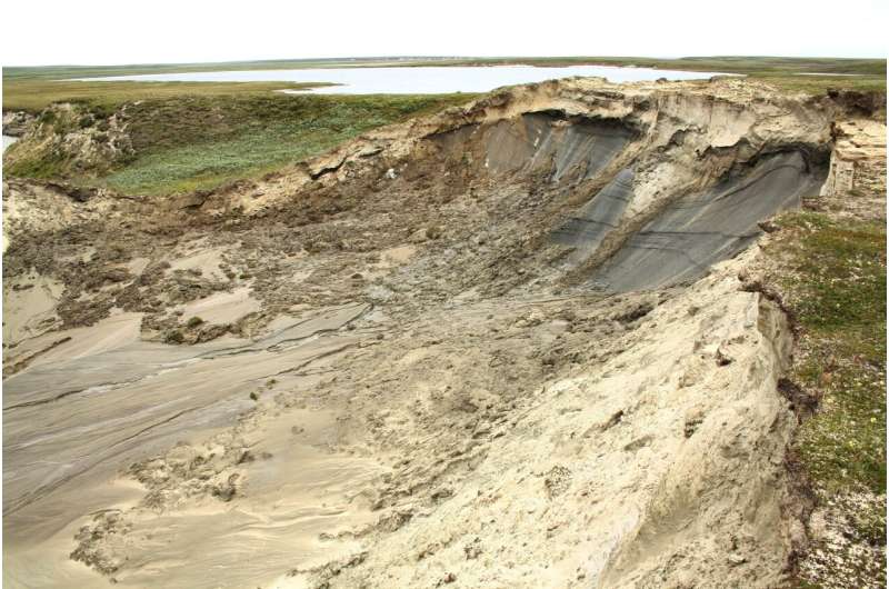 Landslides have long-term effects on tundra vegetation