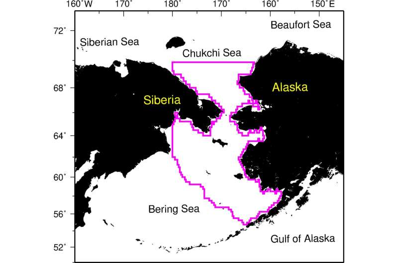 Marine biodiversity reshuffles under warmer and sea ice-free Pacific Arctic