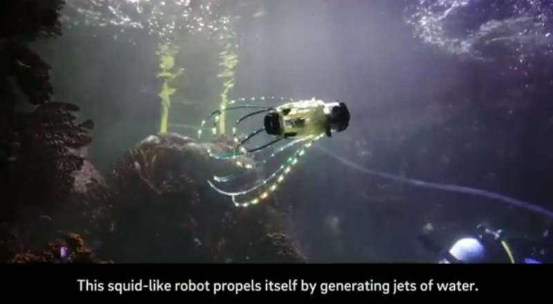 This 'squidbot' jets around and takes pics of coral and fish