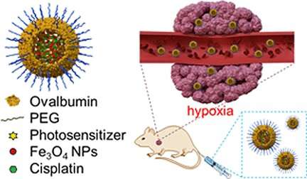 Synergistic anticancer therapy with two cell killer agent systems in one nanocapsule